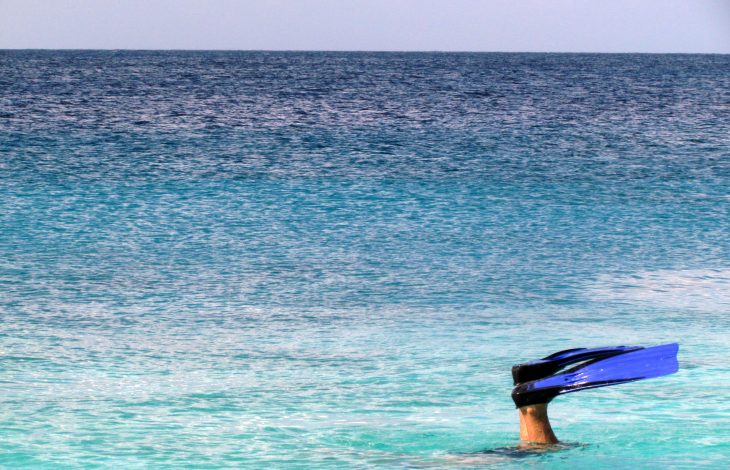 Mergulhos e Snorkeling em Curaçao – muita beleza embaixo d’água!