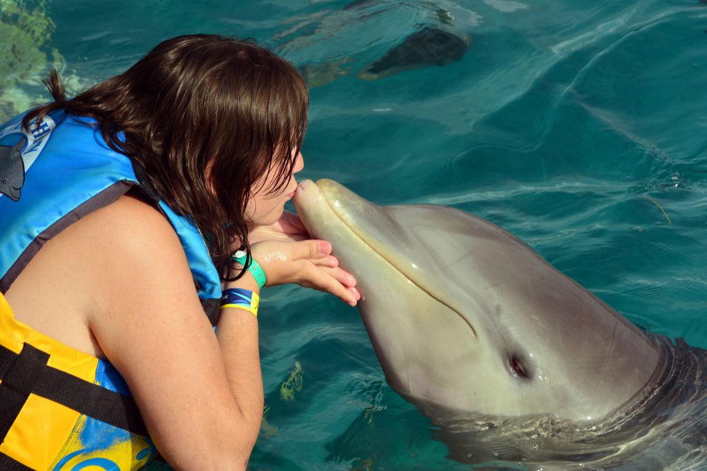 Passeios-em-Cancun-golfinhos