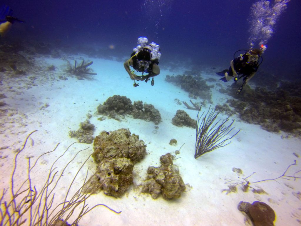 mergulho-em-Curaçao