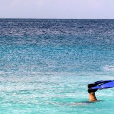 Mergulhos e Snorkeling em Curaçao – muita beleza embaixo d’água!